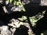 otte Scorciavacca20110306 086